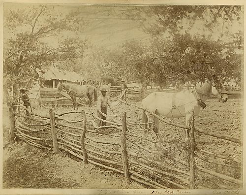 Ploughing near Harpers Ferry