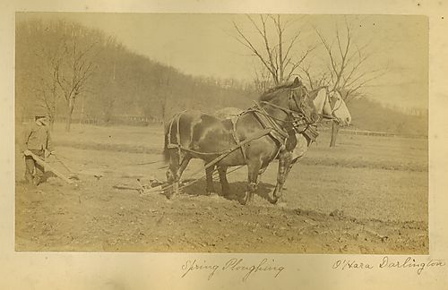 Spring Ploughing