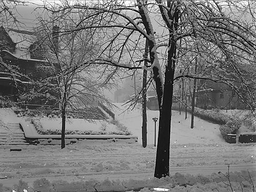 Snow scene
