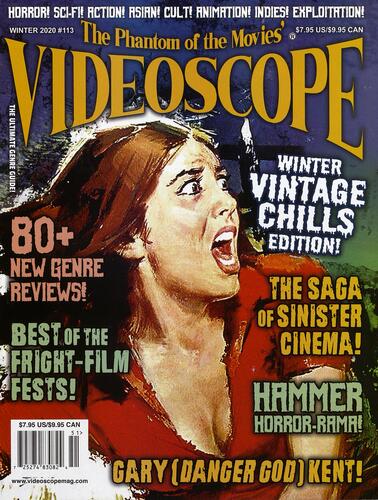 Videoscope