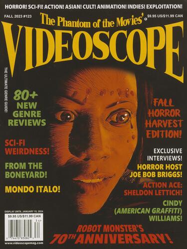 Video scope