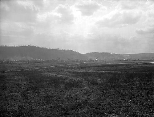 Landscape View