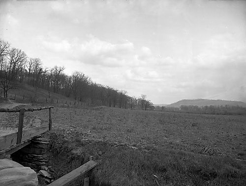 Landscape View