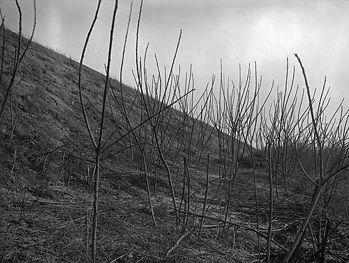 Highland Reservoir No. 2