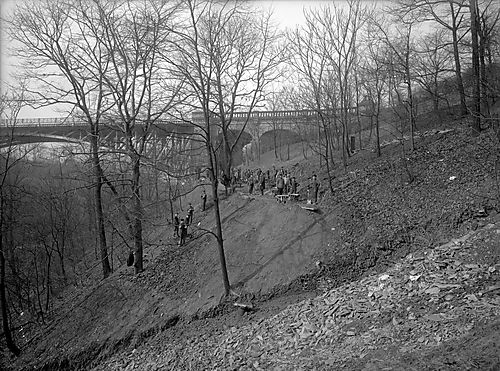 Grading Little Panther Hollow