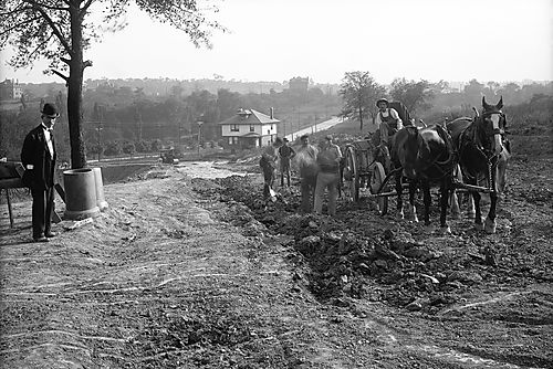 Nicholson and Pittock