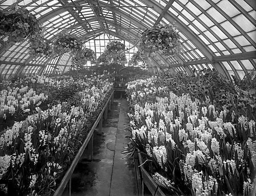 Interior of Phipps Conservatory