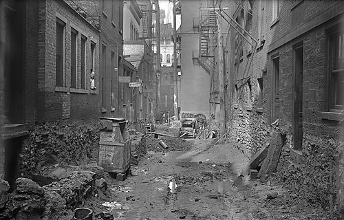 Lemon Alley Hump Cut