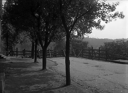 Beechwood Boulevard Bridge