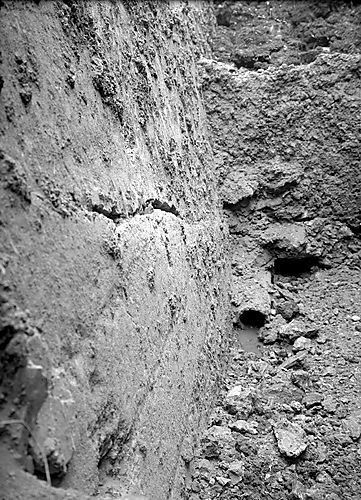 Bigelow Boulevard Wall