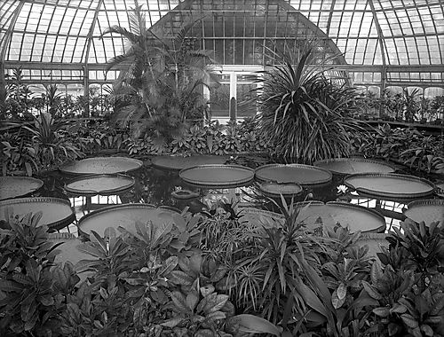 Phipps Conservatory