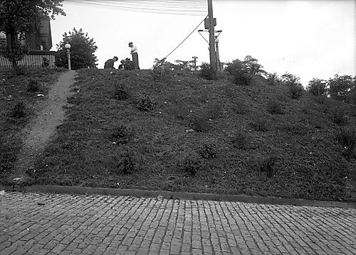 Avalon Street