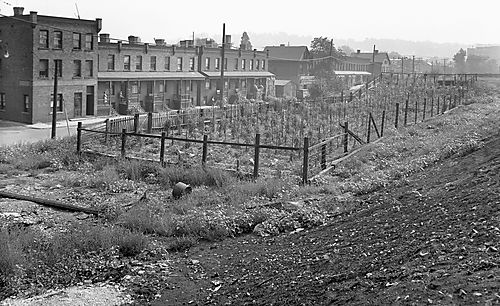 Community Garden Plot
