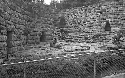 Pittsburgh Zoo -- Grizzly Bear Den