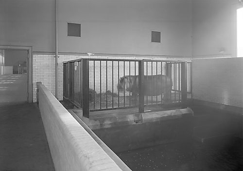 Pittsburgh Zoo -- Hippo Room (Interior)