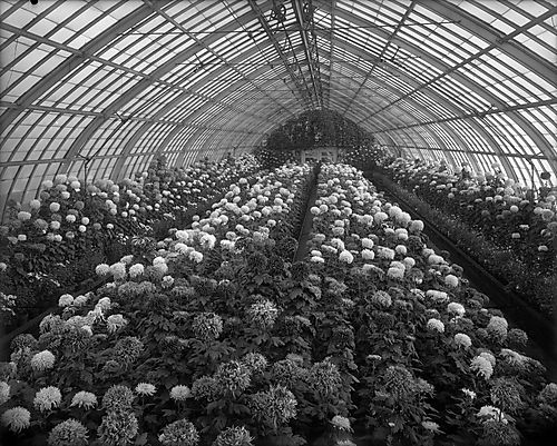 Phipps Conservatory