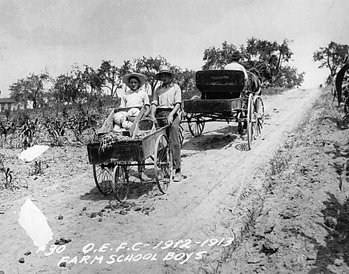Farm School Boys