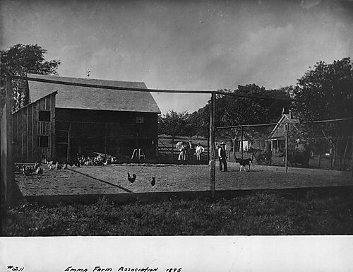 Old Farm