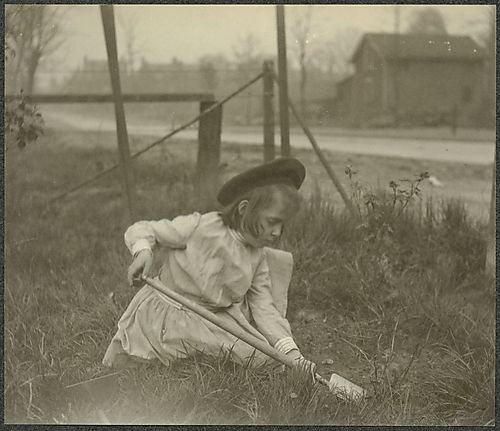 Elizabeth Gardening