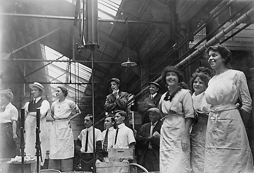 Inside the Plant