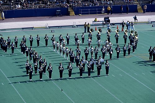 Pitt Band Formation
