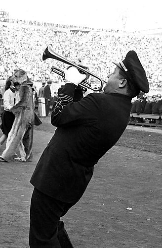 Pitt Band Trumpet Player