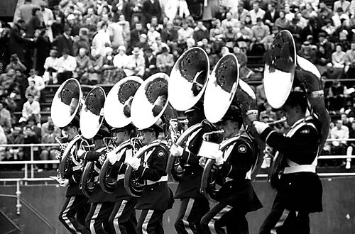 Pitt Band Sousaphone Players