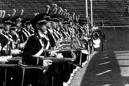 Pitt Band Formation