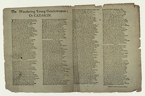 Wandering young gentlewoman, or, Cat-skin.