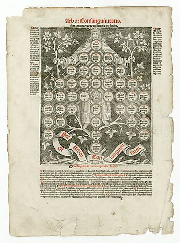 Arbor consanguinitatis