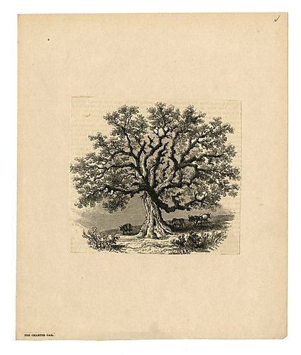 The Charter Oak