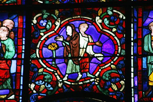 17:  Witnesses to Martin’s miracles