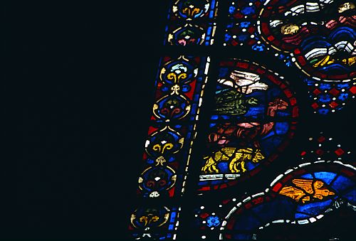 18: The animals arrive to enter the Ark