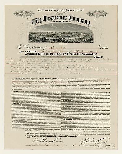 Bird's Eye View of the Point on City Insurance Company Policy