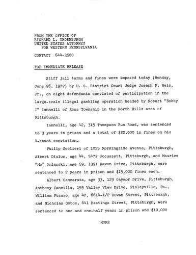 Stiff jail terms were imposed on eight defendants convicted of participation in the large scale illegal gambling operation of Robert Iannelli