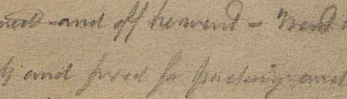 Hervey Allen Papers