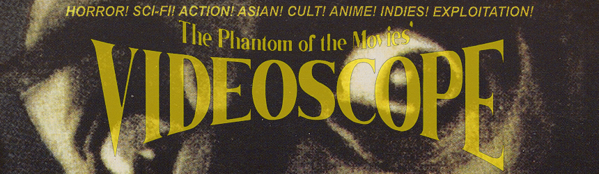 VIDEOSCOPE Magazine