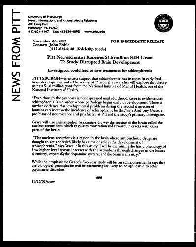 Pitt Neuroscientist Receives $1.6 Million NIH Grant to Study Disrupted Brain Development