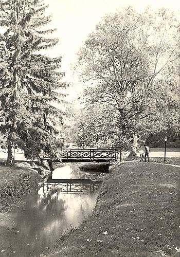 Bridge Below Lynch Hall